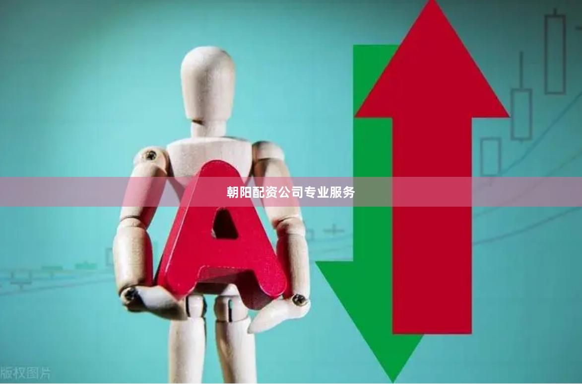 朝陽配資公司專業服務