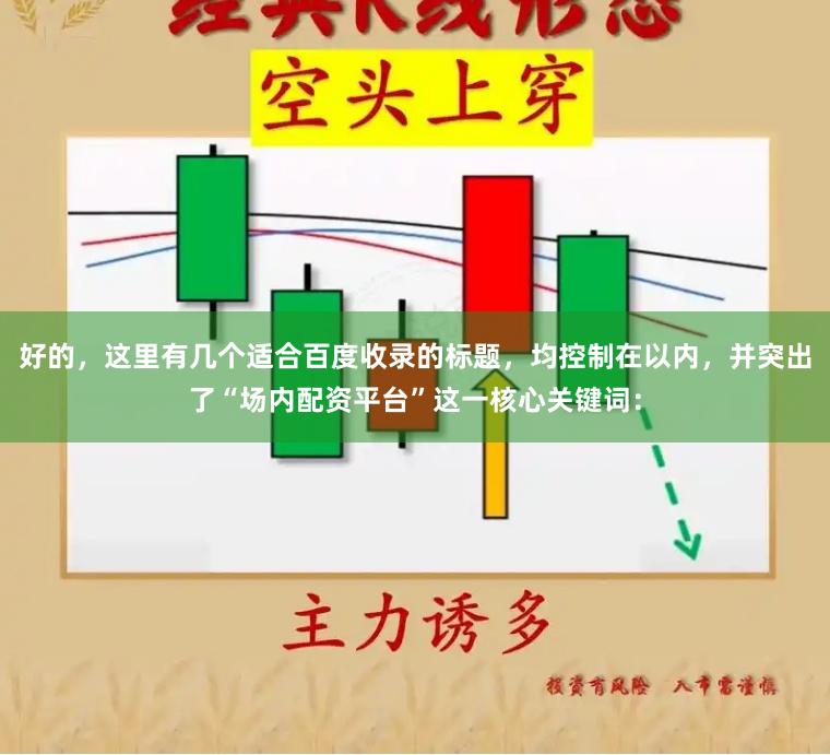 好的，這里有幾個適合百度收錄的標題，均控制在以內，并突出了“場內配資平臺”這一核心關鍵詞：